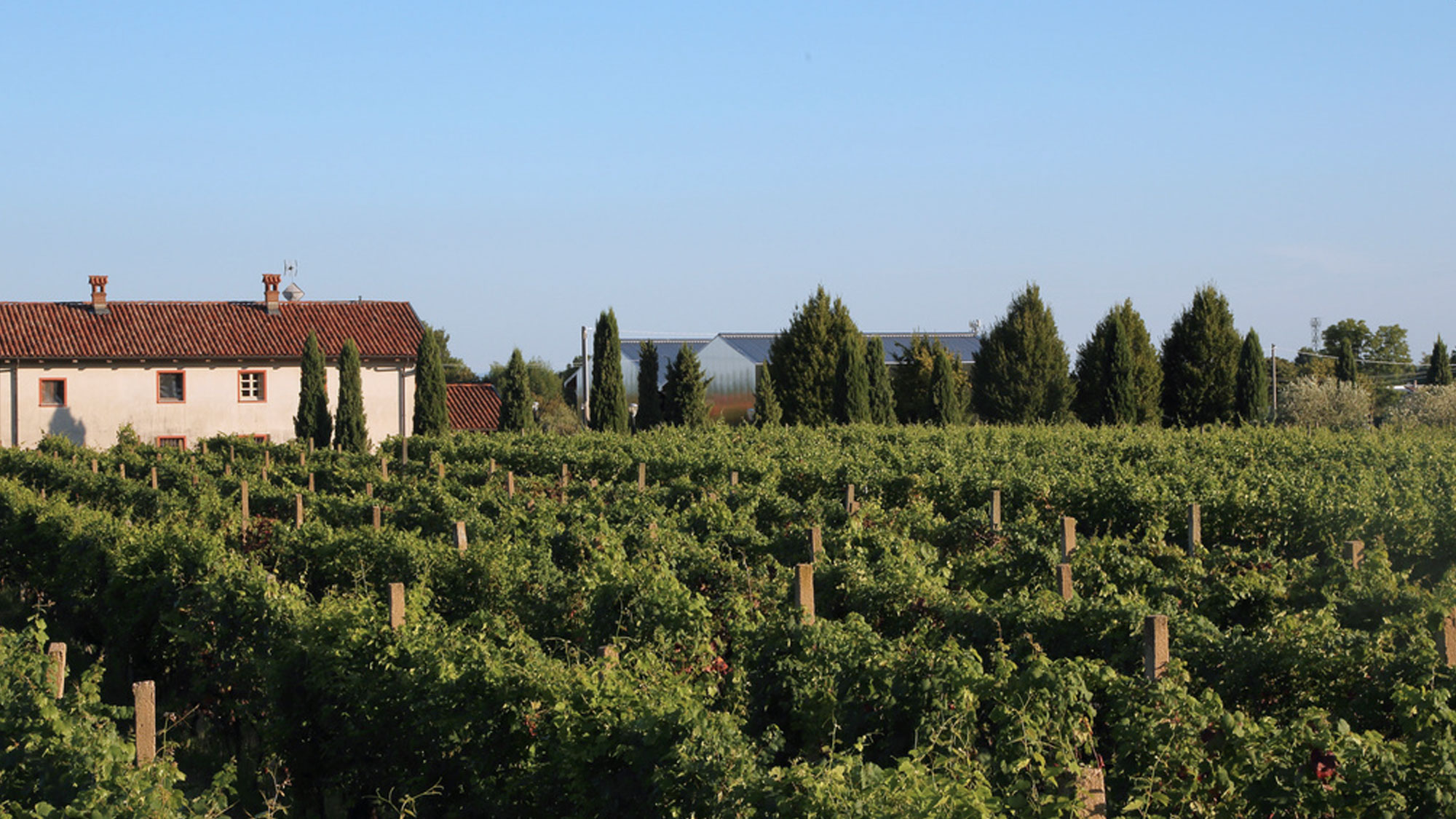 Terre-del-Creario-azienda_02