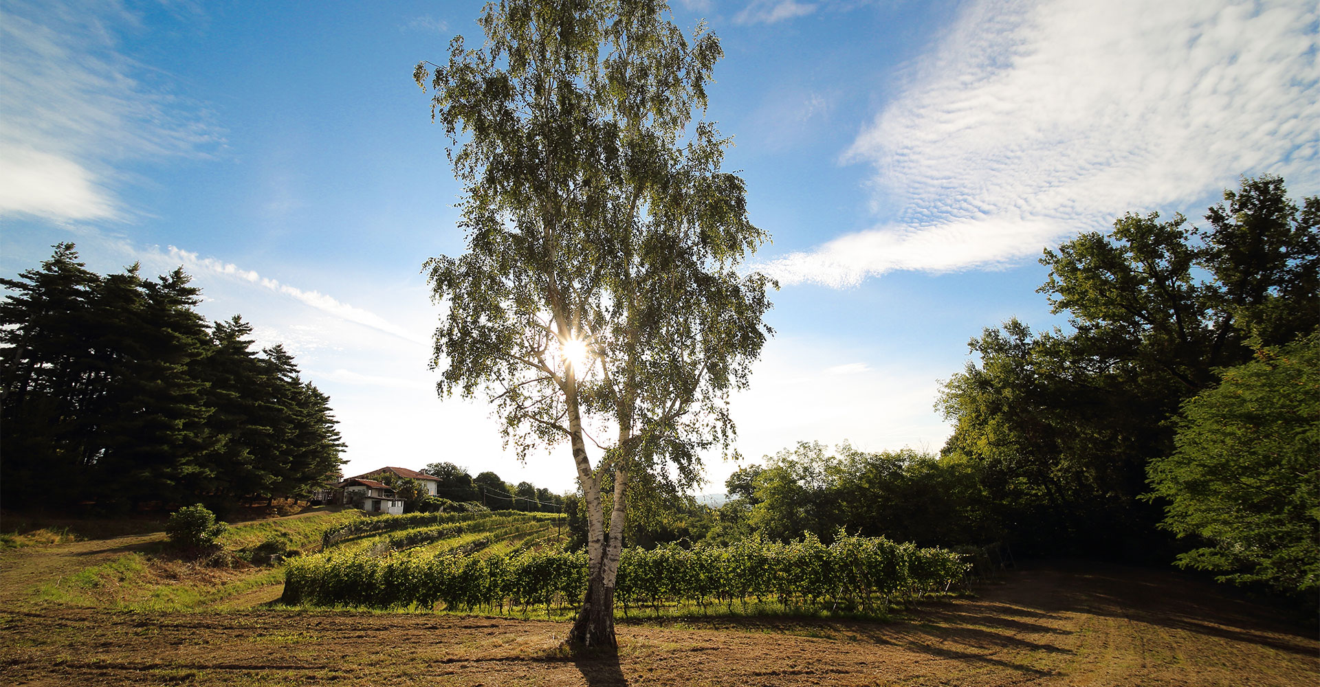 Terre-del-Creario-slider-azienda-01