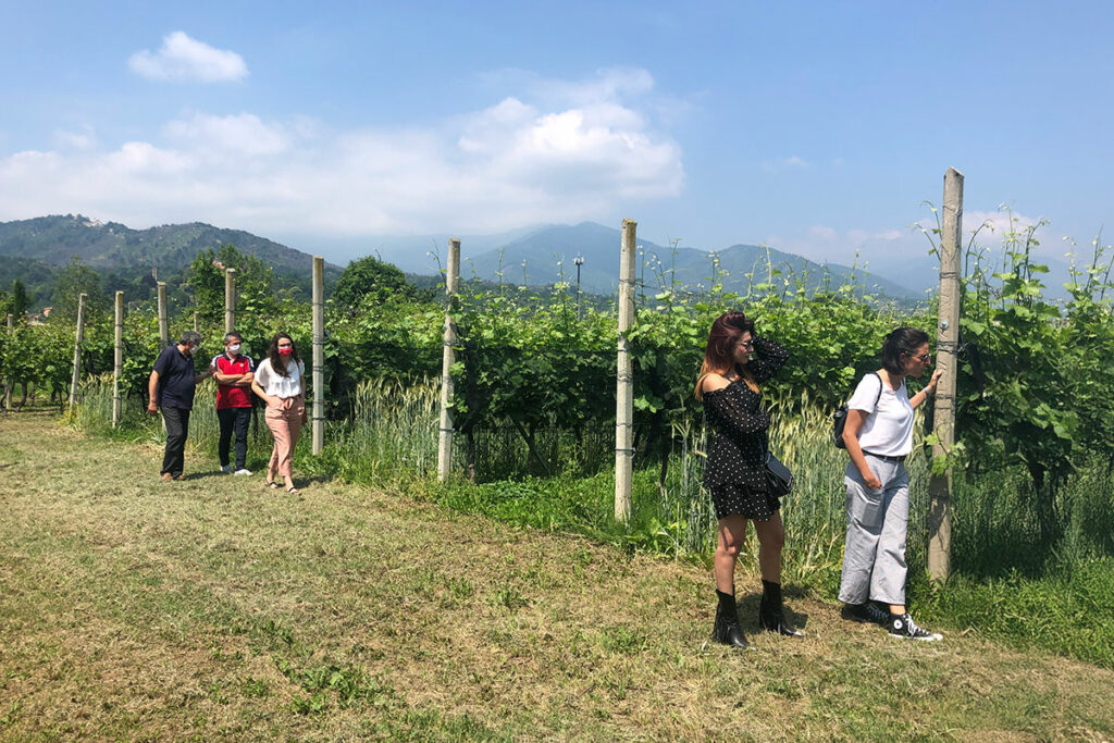 Una coinvolgente esperienza tra vigne, cantina e degustazioni di vini e prodotti tipici dell’Alto Canavese.