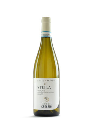 Piemonte DOC Bianco STEILA 2023