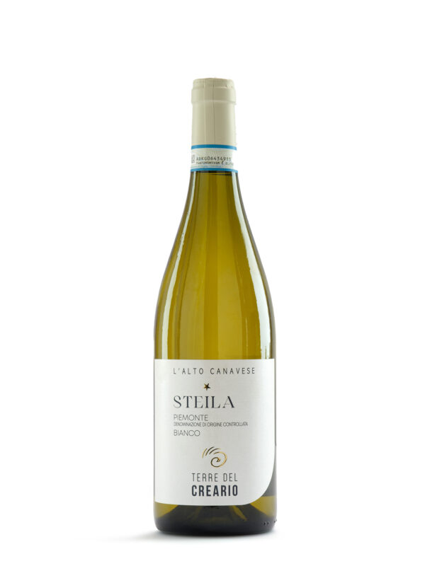 Piemonte DOC Bianco STEILA 2023